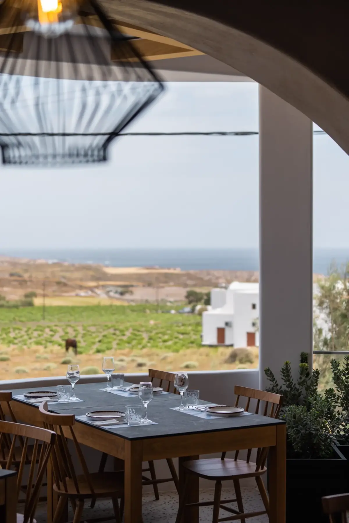 Chef plating a dish at Theofanis Food Experience in Santorini